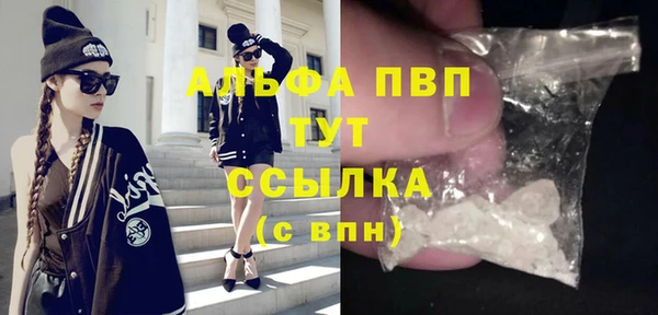 шишки Саяногорск