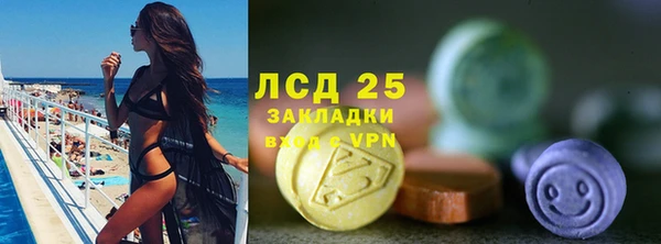 прущие грибы Алексеевка